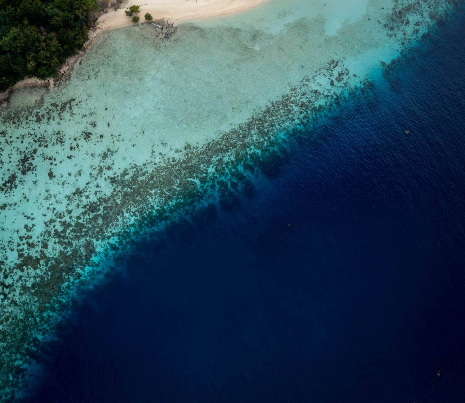 A turquoise Zanzibar coastline with thatched bungalows on a coral shore